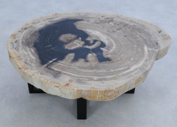 Coffee table petrified wood 45217