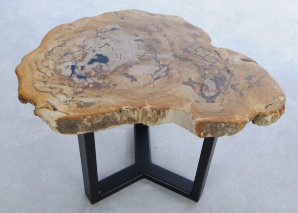 Coffee table petrified wood 45219