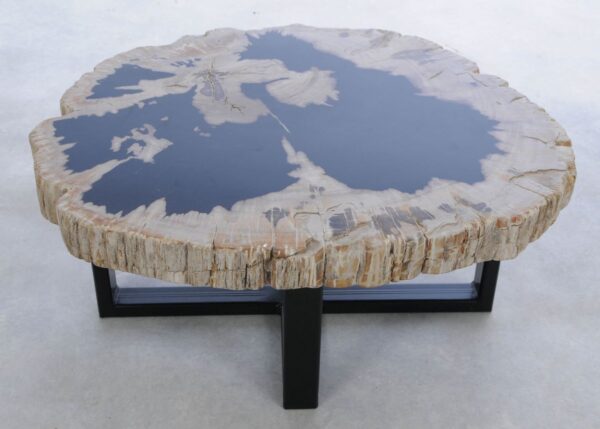 Coffee table petrified wood 45223