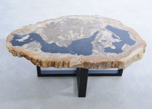 Coffee table petrified wood 45224