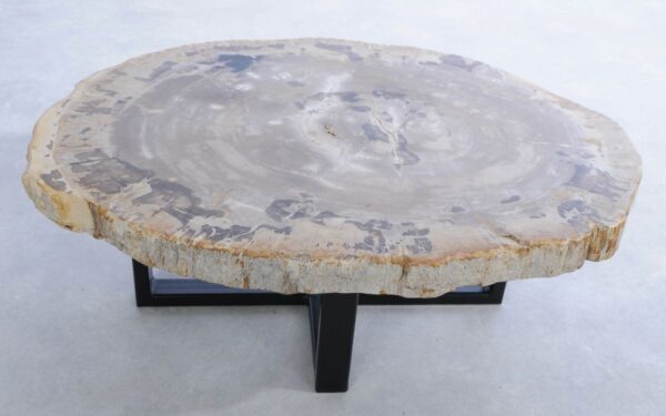 Coffee table petrified wood 45228