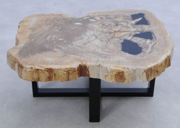 Coffee table petrified wood 45229