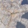 Coffee table petrified wood 45229