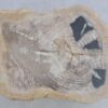 Coffee table petrified wood 45240
