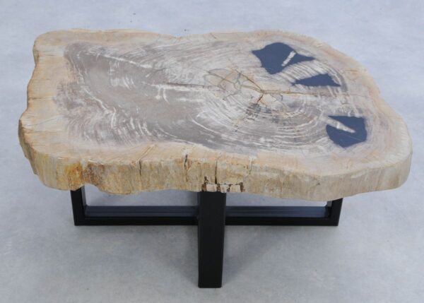 Coffee table petrified wood 45240
