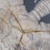 Coffee table petrified wood 45240