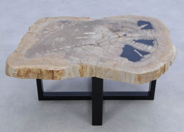 Coffee table petrified wood 45241