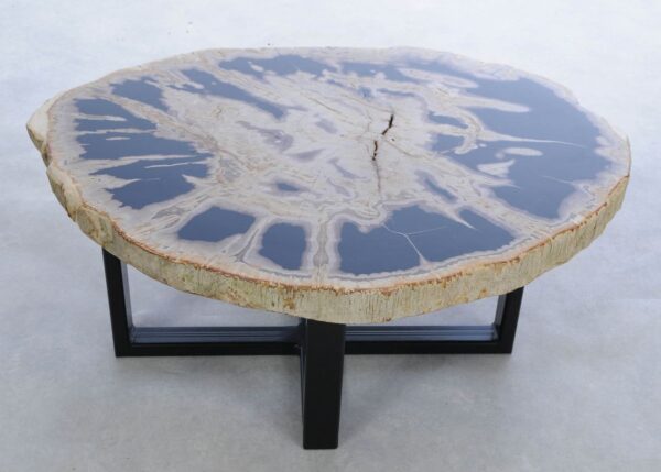 Coffee table petrified wood 45242