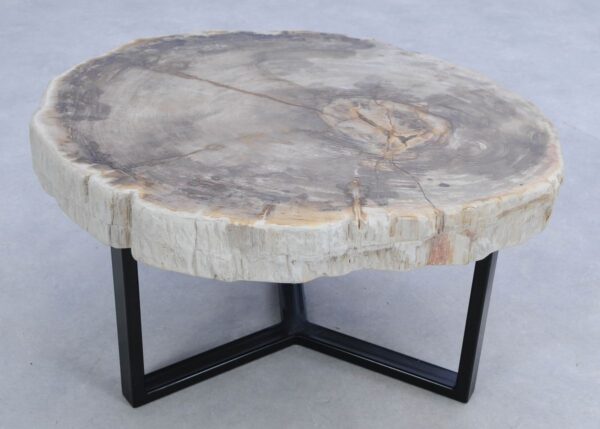 Coffee table petrified wood 45243