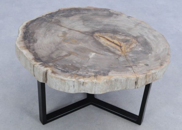 Coffee table petrified wood 45244