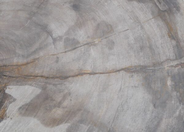 Coffee table petrified wood 45245