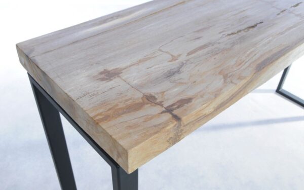Console table petrified wood 44127