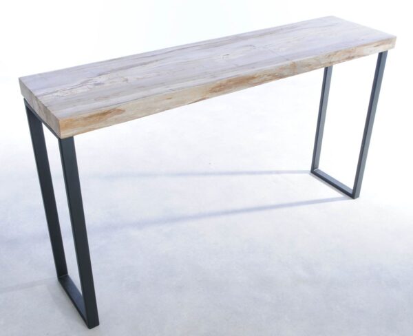 Console table petrified wood 44198