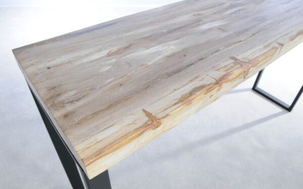 Console table petrified wood 44199