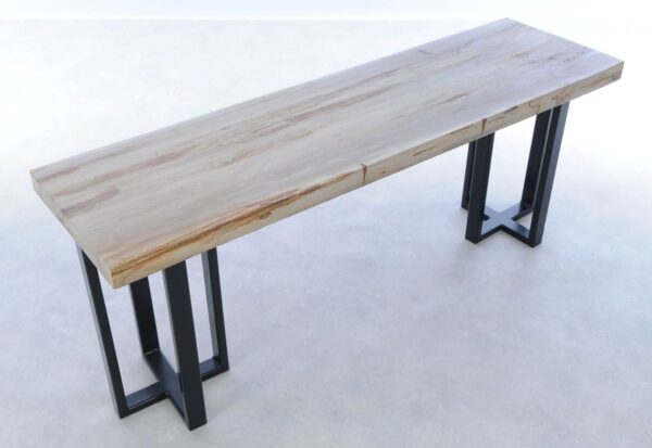 Console table petrified wood 44201