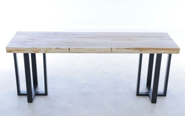 Console table petrified wood 44201