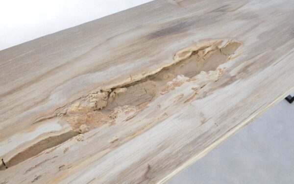 Console table petrified wood 44203