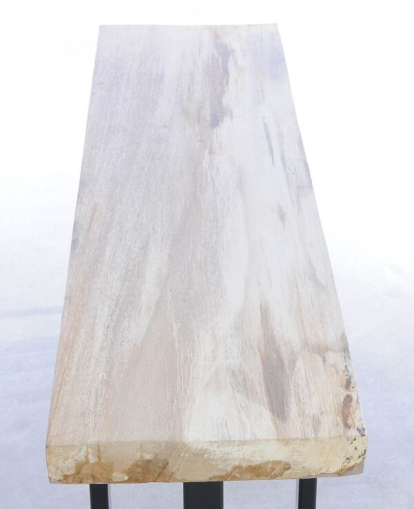 Console table petrified wood 44316