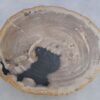 Couchtisch versteinertes Holz 45208