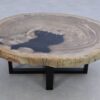 Couchtisch versteinertes Holz 45208