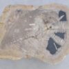 Couchtisch versteinertes Holz 45241