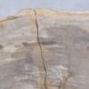 Couchtisch versteinertes Holz 45244