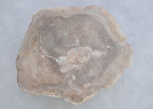 Mesa de centro madera petrificada 45167