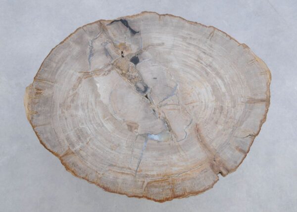 Mesa de centro madera petrificada 45169