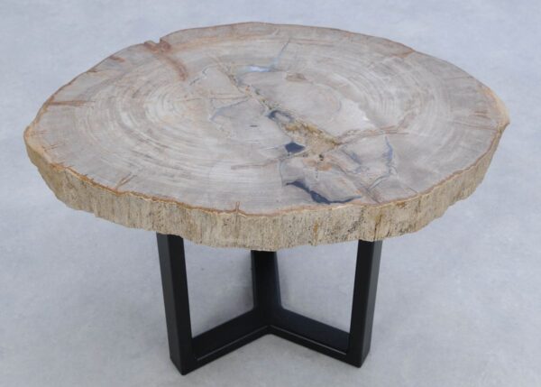 Mesa de centro madera petrificada 45169