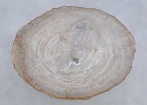 Mesa de centro madera petrificada 45174