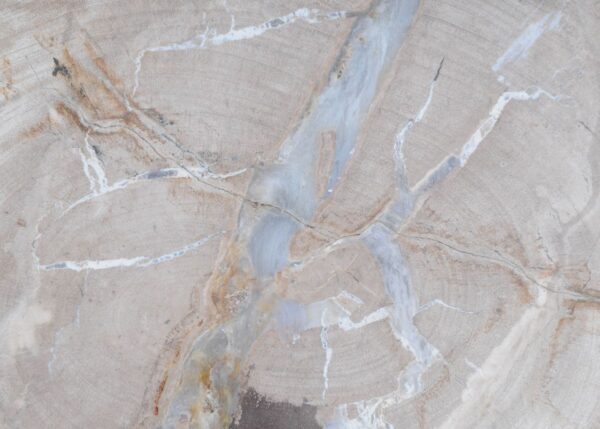 Mesa de centro madera petrificada 45174