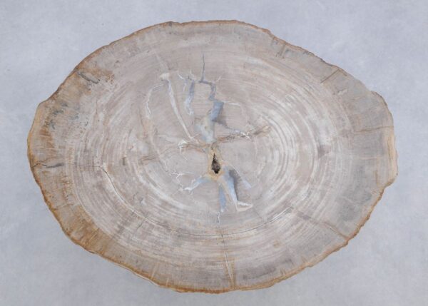 Mesa de centro madera petrificada 45177