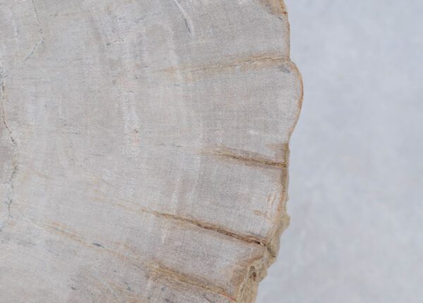 Mesa de centro madera petrificada 45182