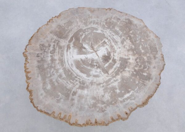 Mesa de centro madera petrificada 45190