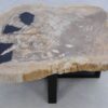 Mesa de centro madera petrificada 45229