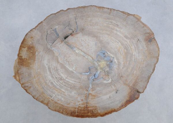 Salontafel versteend hout 45175