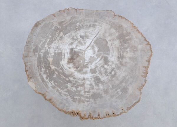 Salontafel versteend hout 45186