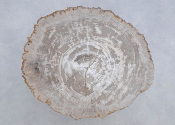 Salontafel versteend hout 45188