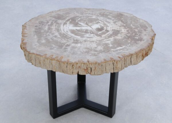 Salontafel versteend hout 45190
