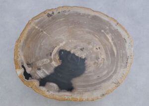 Salontafel versteend hout 45208