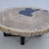 Salontafel versteend hout 45208