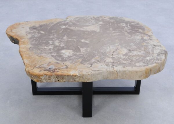 Salontafel versteend hout 45210