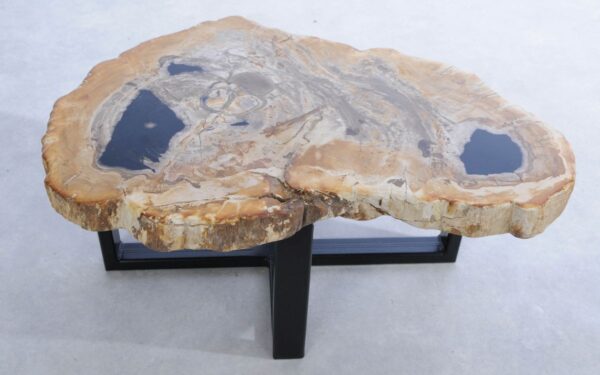 Salontafel versteend hout 45222