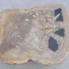 Salontafel versteend hout 45229