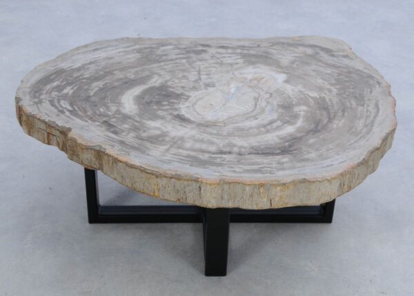 Table basse bois pétrifié 45152
