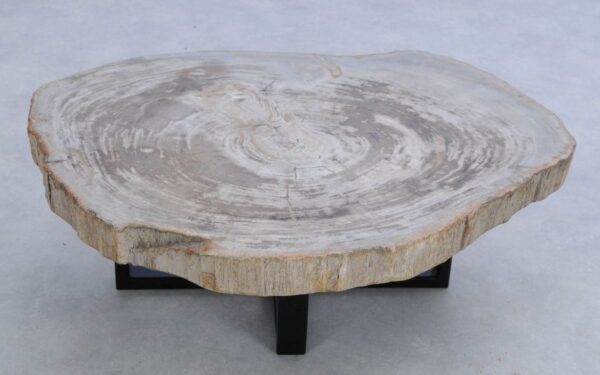 Table basse bois pétrifié 45153