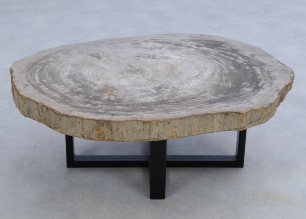 Table basse bois pétrifié 45159