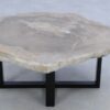 Table basse bois pétrifié 45166