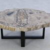 Table basse bois pétrifié 45211