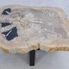 Table basse bois pétrifié 45240